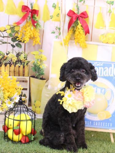 20240407ひじきちゃん